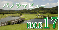 HOLE17