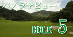 HOLE5